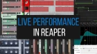 Live Performance в программе Reaper