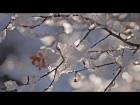 Mikael Tariverdiev - Winter (Relaxing music)