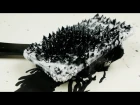How Does iPhone 7 React To Magnetic Ferrofluid?