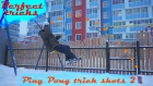Пинг понг трюки 2 | Perfect tricks