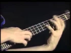 Stuart Hamm bass solo