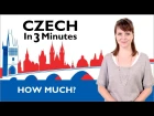 Learn Czech - How Much? - Czech in Three Minutes