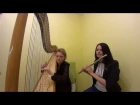 Арфа и флейта! LADY GAGA в исполнении двух классических музыкантов
