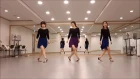 Amor Fati(아모르 파티)- Linedance(Count&Dance)