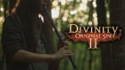 Divinity: Original Sin 2 - Path of the Godwoken - Cover by Dryante