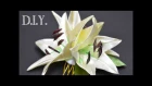 ❀ ♡ ❀ D.I.Y. Kanzashi White Lily | MyInDulzens ❀ ♡ ❀