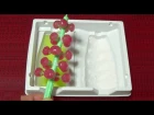 Kracie - Gummy Candy Tree Making Kit