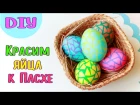 Необычный Способ Покрасить Пасхальные Яйца / How to Dye Easter Egg / DIY NataliDoma