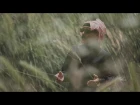 Omar Souleyman - Chobi (Official Music Video)