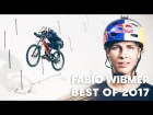 Best of Fabio Wibmer 2017 | Straight from the Athletes