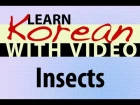 Learn Korean with Video - Insects