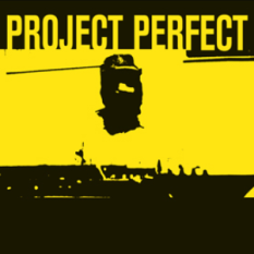 Project Perfect