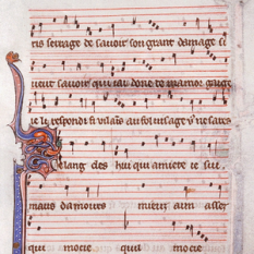 Codex Montpellier