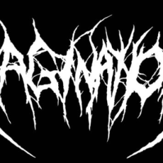 Vagination