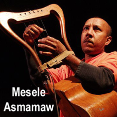 Melesse Asmamaw