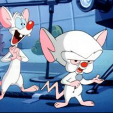 PINKY AND THE BRAIN