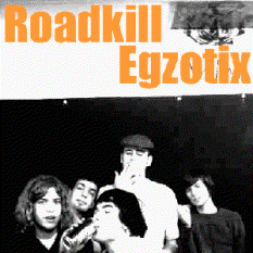 Roadkill Egzotix