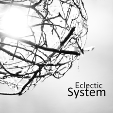 Eclectic System
