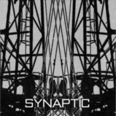 Synaptic Necropolis