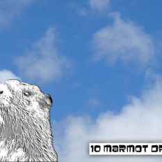 10 Marmot Drive