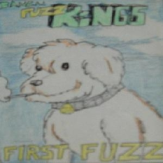 First Fuzz