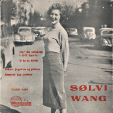 Sølvi Wang