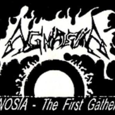 The first gathering