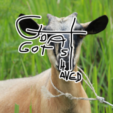 Goat got Shaved
