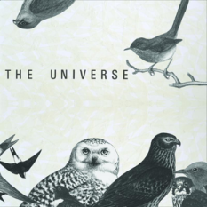 The Universe