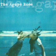 The Agape Rose