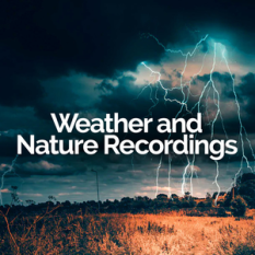 Weather and Nature Recordings